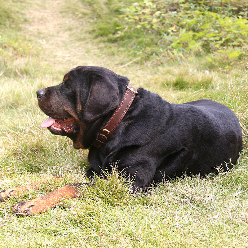 Cowhide Leather Dog Collar with Copper Buckle