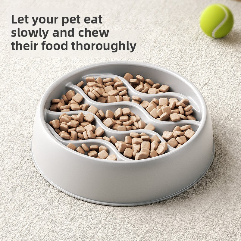 Anti-Choking Slow Feeder Dog Bowl