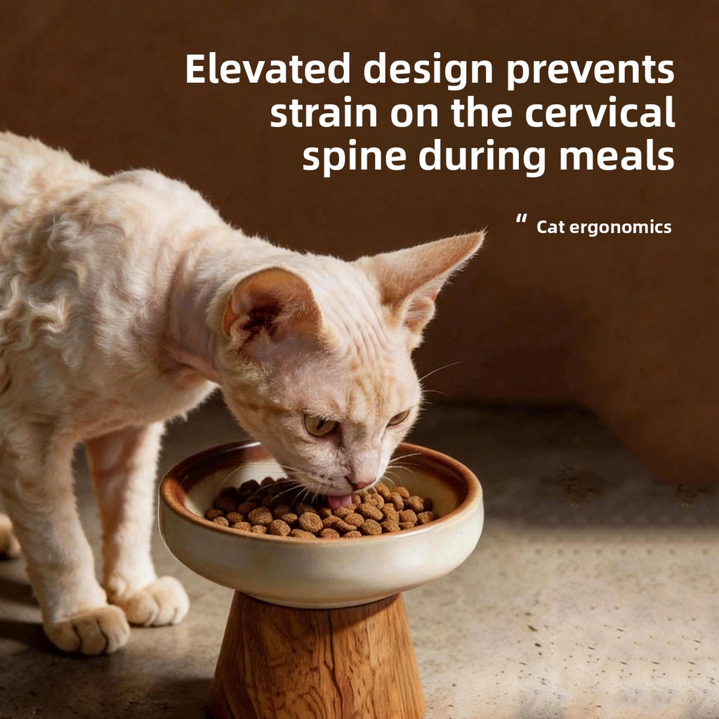 Ceramic Cat Bowl with Wooden Stand